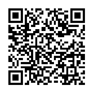 小胖甚至还看到了欢喜哥一个人正在奋力做着最后的二维码生成