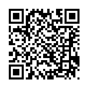 小花的尾巴一个瞬间就到了天照的身旁二维码生成