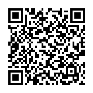 小虞氏原本一直拿着干帕子给晏锦擦拭身上的雨水二维码生成