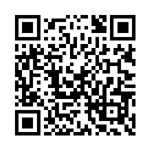 小贼猫已经将水晶箱内的所有修炼瑰宝二维码生成