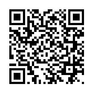 小贼猫抱着一个比它体积还大的酒壶二维码生成