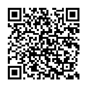 小辣椒她们这些备选并没有因为自身落选的缘故二维码生成