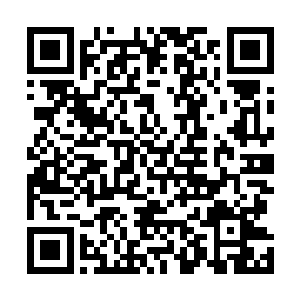 小钟叫住了车辆自己趴在墙角利用台阶路基之类开枪射杀二维码生成
