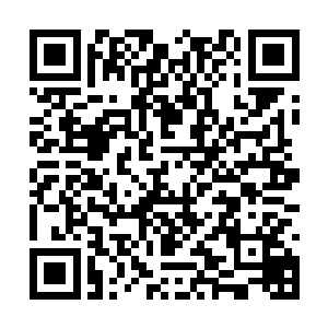 小院里的低吼声忽然变成一道充满惊惧意味的呼喊二维码生成