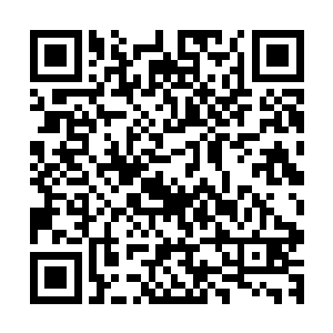 小鼎之中的东西也开始按照夏天夏天脑海之中的形状开始汇聚二维码生成