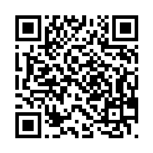 小齐主任的风头一时间盖过了大齐主任二维码生成