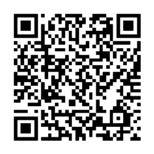 小龙和许紫烟虽然对于天道运用如今有着独到了理解二维码生成