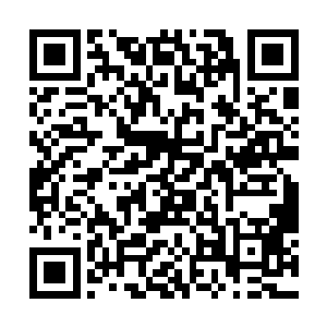 少妇宜人的风韵便随着这不经意的伸手一拢浸润出来二维码生成