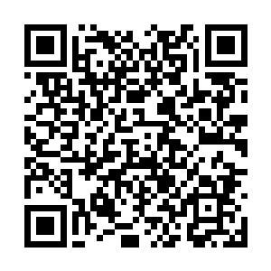 少年犹如星子一般灿烂的眼眸慢慢的变得暗无光泽二维码生成