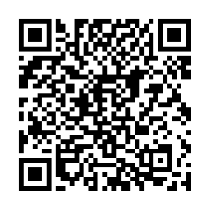 少年独有的嗓音带着温和的触动环绕在季疏云的心间二维码生成