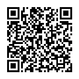 少年的专属治疗神侍看到那名跳下来的神侍立刻对对方抬手二维码生成