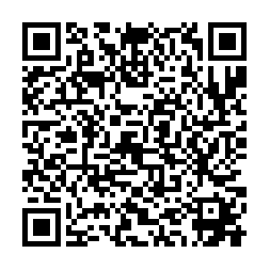 少年翻手之间的攻击已经彻底颠覆了他们对帝国几大至尊强者的认可二维码生成