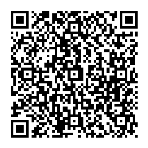 少年驯丨兽师超绝的箭术未知的血脉眼瞳……让铁乾大师叹服的炼器天赋…还有那只会隐身的神秘小贼猫二维码生成