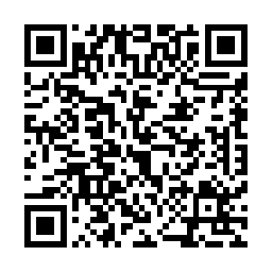 少数有些贴身平脚内裤的细节毕现更添几分紧贴曲线的诱惑二维码生成