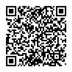 少数的怪物也不会不开眼到招惹一个拥有六名传奇能力的强者队伍二维码生成