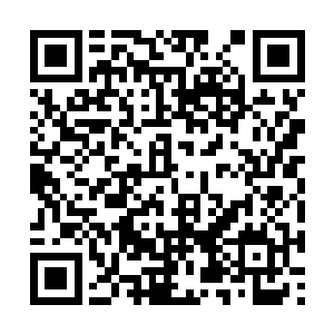少正豪竟直言说起了如何布局杀死少正义庆的事情二维码生成