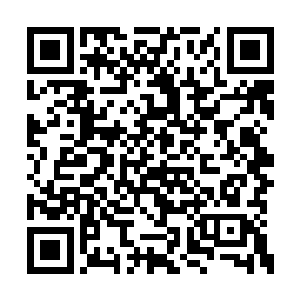 少真道境中的地仙真仙一听就意识到要生什么事二维码生成