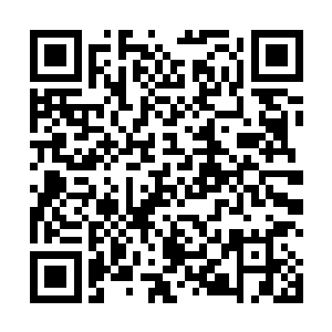 尚权智是知道这帮习惯了坐办公室喝茶尸位素餐的家伙二维码生成