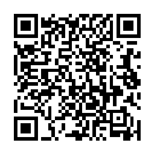 尤其如果是几个中国人一起点几个菜一起会更经济合算二维码生成