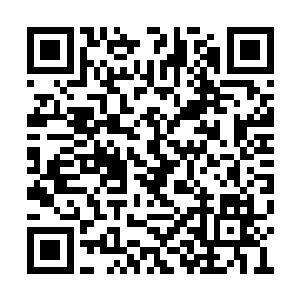 尤其对我星神宫那些修炼了星月神决的弟子来说二维码生成