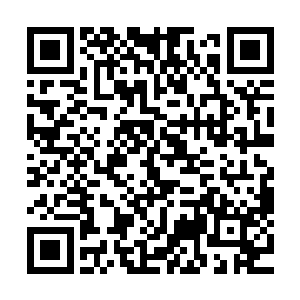 尤其当这个命令还是意大利地下势力的皇帝马里奥亲自下达时二维码生成