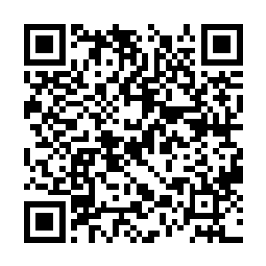尤其是一些刚刚从尘世当中历练出来的修真者来说二维码生成
