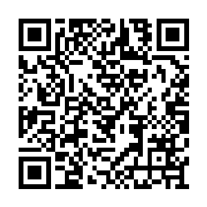 尤其是他们刚刚才亲眼目睹了李思辰的强悍实力二维码生成