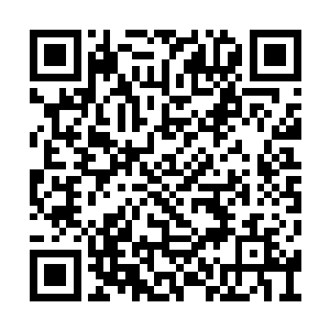 尤其是他们还在人群之中见到了罗元这小子……二维码生成