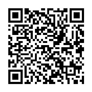 尤其是听到陆为民已经向孙专员汇报了自己的事情之后二维码生成