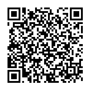 尤其是在那鬼脸吊坠吸走了赤木扎的生命后又回到了小女孩的身上二维码生成