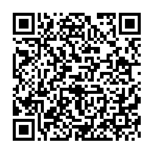 尤其是当服饰绚烂扎眼的苗疆女子笑嘻嘻拧碎一名登徒子的手掌后二维码生成