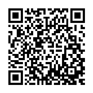 尤其是擅长实验科学和实验装置制造的科学家长的好像没进化完二维码生成