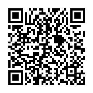 尤其是爷爷和族人去世之后他对仅有的一点感情看得更重了二维码生成