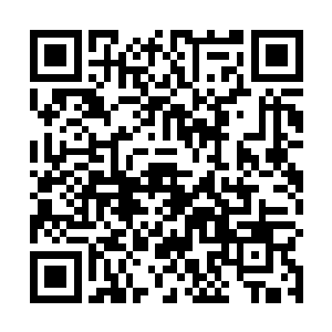 尤其是甄婕这一段时间正在筹备华民情报战略研究中心二维码生成