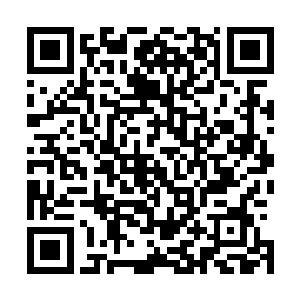 尤其是省旅游公司一直对他态度与旅游公司不一致很是不满二维码生成