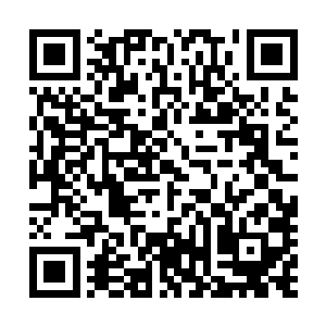 尤其是看到周围以往和自己一样的入生活都在不断富裕起来二维码生成