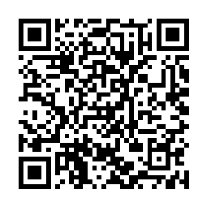 尤其是看到那被自己吸干了全身血液的武者洪波通之后二维码生成