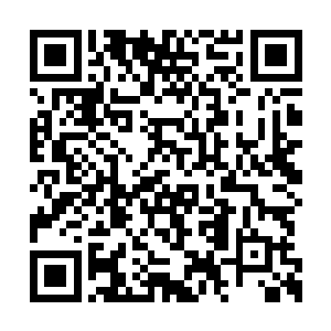 尤其是眼下这人族已经接连两次驭使那长针秘宝二维码生成