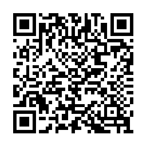 尤其是知道了这些人绑架香奈儿完全是受人指使二维码生成