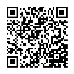 尤其是秦方的罡气领域本身就带有人元金丹的力量二维码生成