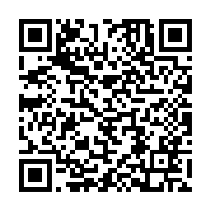 尤其是这树一直到离地有七八米的地方才开始长枝干二维码生成