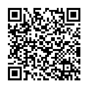 尤其是那些可以清楚看到弹道的曳光弹在身边乱飞二维码生成