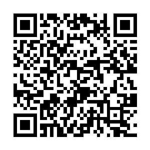 尤其是那些外国拳手脸上的戏谑以及趾高气扬的姿态二维码生成