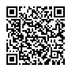 尤其是那因为惊慌受惊而如同小鹿一般无辜的潋滟水眸二维码生成