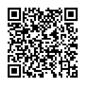 尤其是那对眼……在京城之中虽然算不上特别稀罕二维码生成