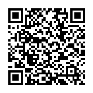 尤其是郎霆烈还曾经与是黑鹰成员的佘虎有过生死之斗二维码生成