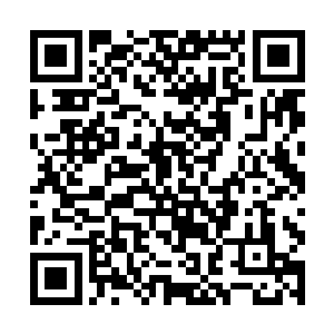 就一个只打过几场比赛的新人居然也拿来和大魔王比二维码生成