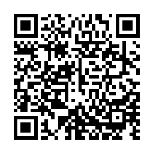 就不会出现这种毫无反手的局面……凌蘭果断启动全部引擎二维码生成