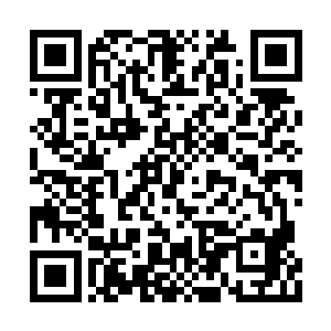 就不得不拖着用剑高手从苏林的胸口上方飞过去二维码生成