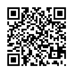 就不怕把鲸鲨海兽的注意力引过来吗二维码生成